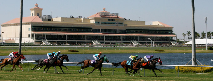 Bookies to Flock to Gulfstream Park This Kentucky Derby: Betting Seminar Unveiled 