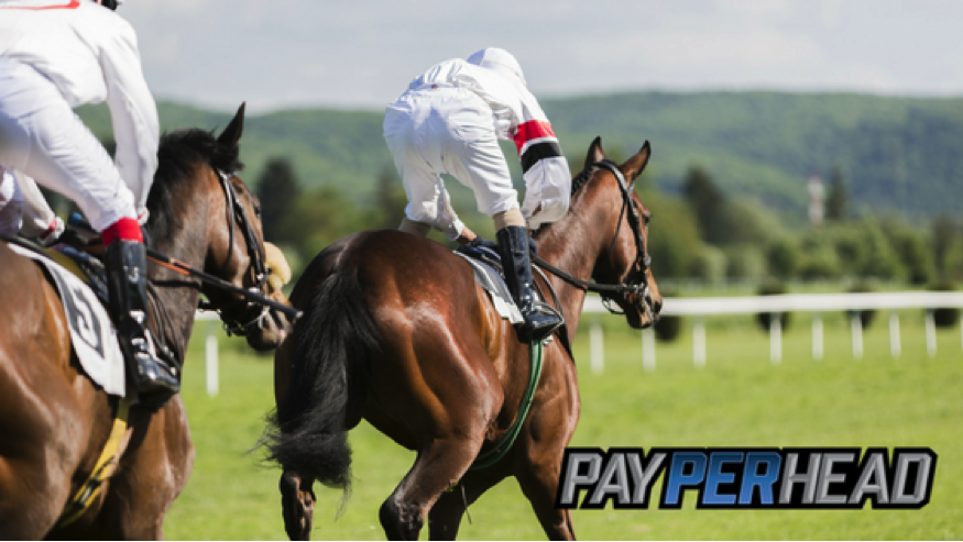 5 Reasons Online Bookies Shouldn't Forget About Horse Race Betting