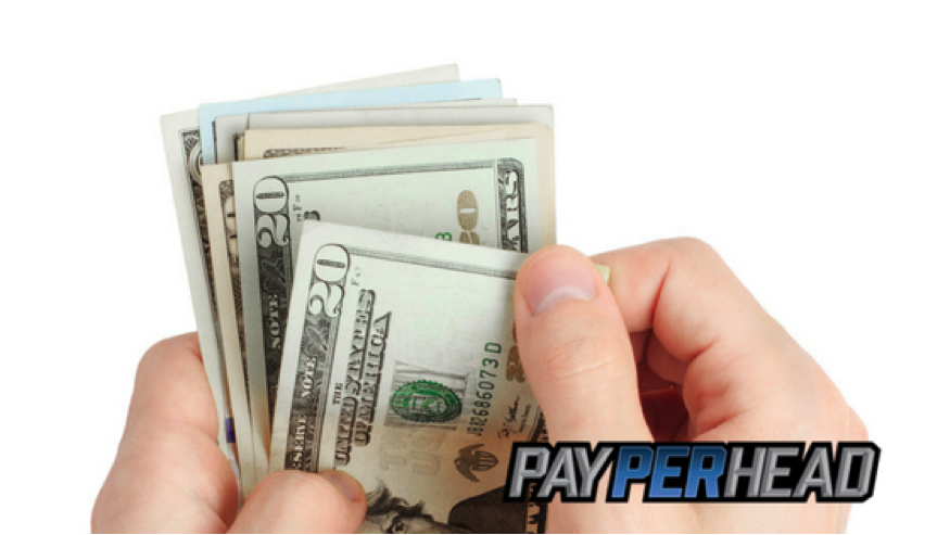 Types of Casual Bettors to Expect When Becoming an Online Bookie