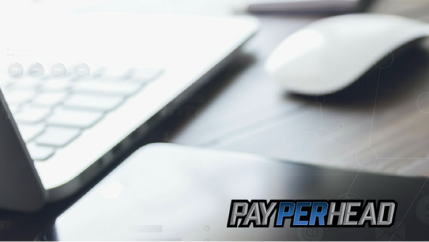 Pay Per Head Agents Top Tips For Picking A Bookie Software