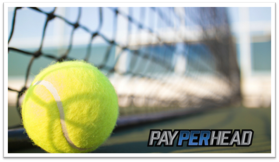 2017 Wimbledon Odds And Profitable Players