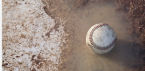 Baseball rain